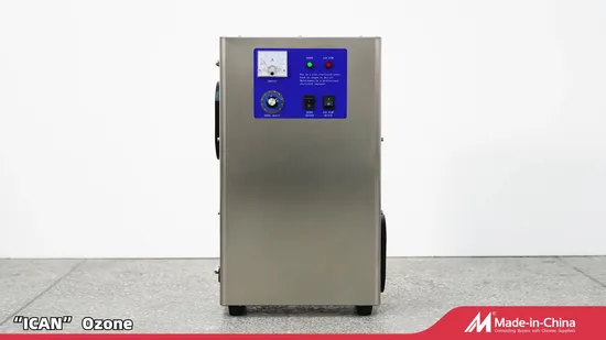 Cfk-5g/12g Ozone Generator with Technical Support, Engineer Installation & Training Service